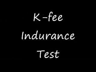 File:K fee Endurance Test.png