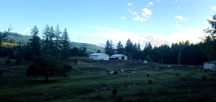 File:Farm.jpg