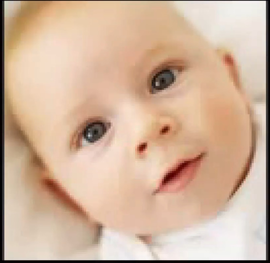 File:Regular baby stock image.jpg