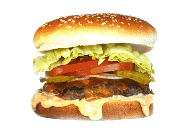 File:Hamburger-spinning.gif