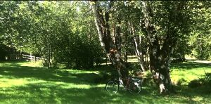 Bike.jpg