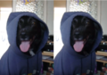 Thumbnail for version as of 21:29, 29 September 2019