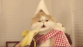 Thumbnail for version as of 23:22, 14 October 2019