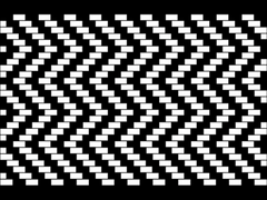 Scintillating grid illusion.