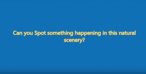Text 1.png