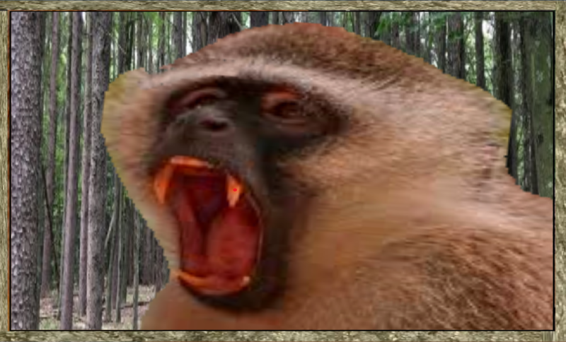 File:4.png