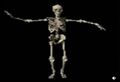 Thumbnail for version as of 01:26, 19 September 2023