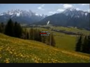 Countryside Screamer. My First 3.png