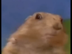 End