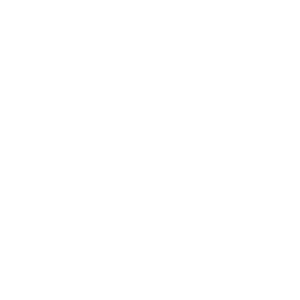 WebsiteIcon.png