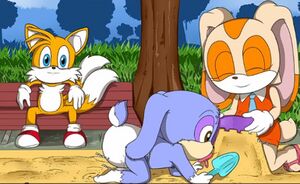 Momentsbeforetails.jpg