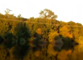 Thumbnail for version as of 00:27, 23 February 2021