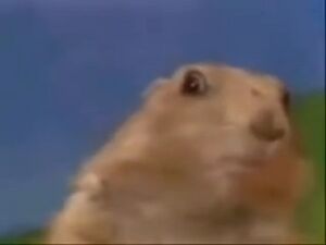 Dramatic Chipmunk Scary Pop Up.jpeg