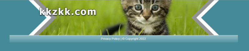 File:Kkzkk kitten.png