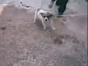 Lastmoment.PNG