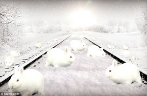 Bunnies.jpg
