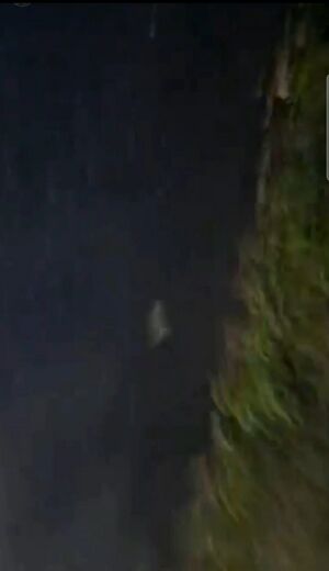 Screenshot 20231013-222042 Gallery.jpg