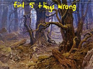 Fangorn Forest.JPG