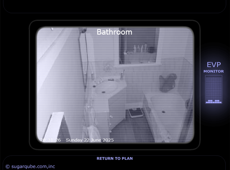File:Ghost Television Bathroom.png