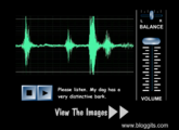 Audio visualizer, find what the dog's noises make.