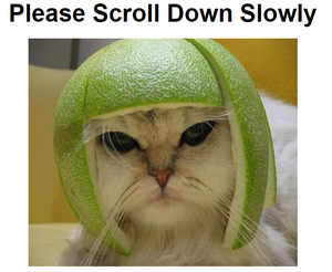 Scrollbeloworiginal.png