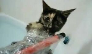 Bath time lol.jpg