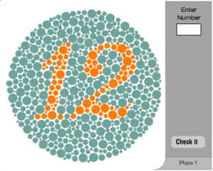 Color Vision Deficiency Test Plate 1.png