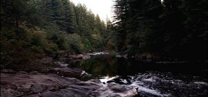 River.jpg