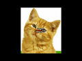 Thumbnail for version as of 18:22, 10 September 2025