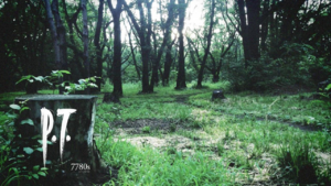 P.T.png