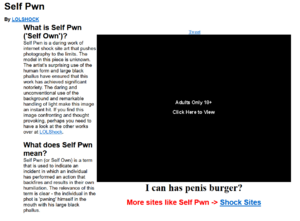SelfPwn.png