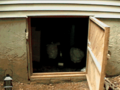 Thumbnail for version as of 01:29, 19 April 2021