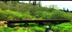 Bridge.jpg