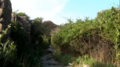 Thumbnail for version as of 15:37, 25 December 2024