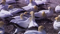 Thumbnail for version as of 11:42, 11 October 2019