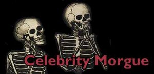 Celebrity-bigger.jpg