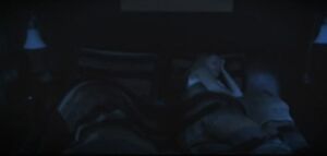 Bedfellows.JPG