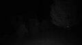Thumbnail for version as of 10:20, 4 March 2023