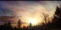 Thumbnail for version as of 02:42, 9 June 2026