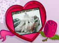 Thumbnail for version as of 04:56, 7 October 2021