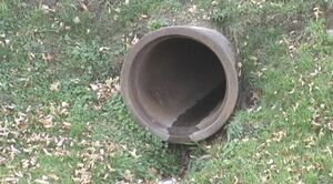 StinkPipe.jpeg