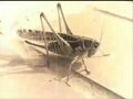 Thumbnail for version as of 04:17, 16 February 2025