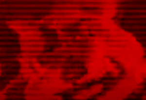 Tanner.png