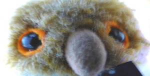 Cute cat.png