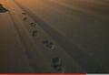 Thumbnail for version as of 14:56, 29 March 2024