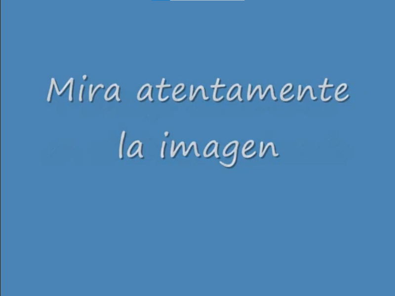 File:ChavoMiraAtentamente.png