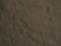 Thumbnail for version as of 06:38, 1 July 2024