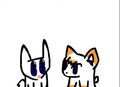 Thumbnail for version as of 08:36, 23 March 2024