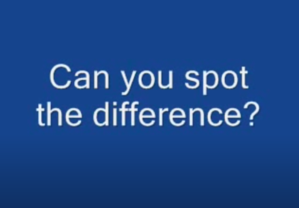 Spot.png
