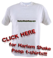 The official T-shirt; it’s unknown whether Steezy actually sold any